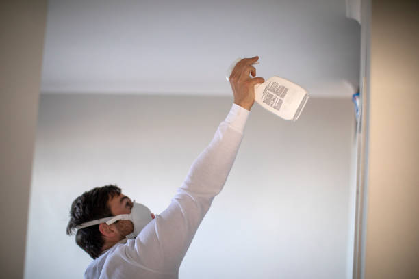 Best Local Mold Removal Service  in Burlington, WI
