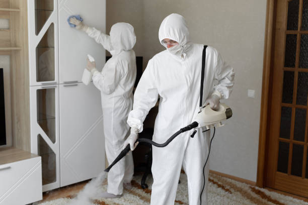 Best Residential Mold Removal  in Burlington, WI