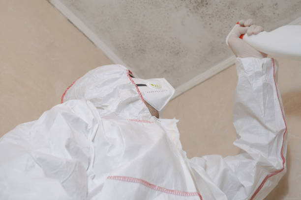 Best Certified Mold Removal  in Burlington, WI