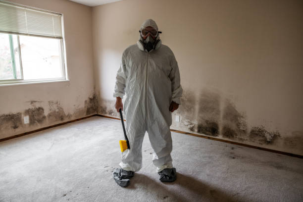 Best Certified Mold Removal  in Burlington, WI